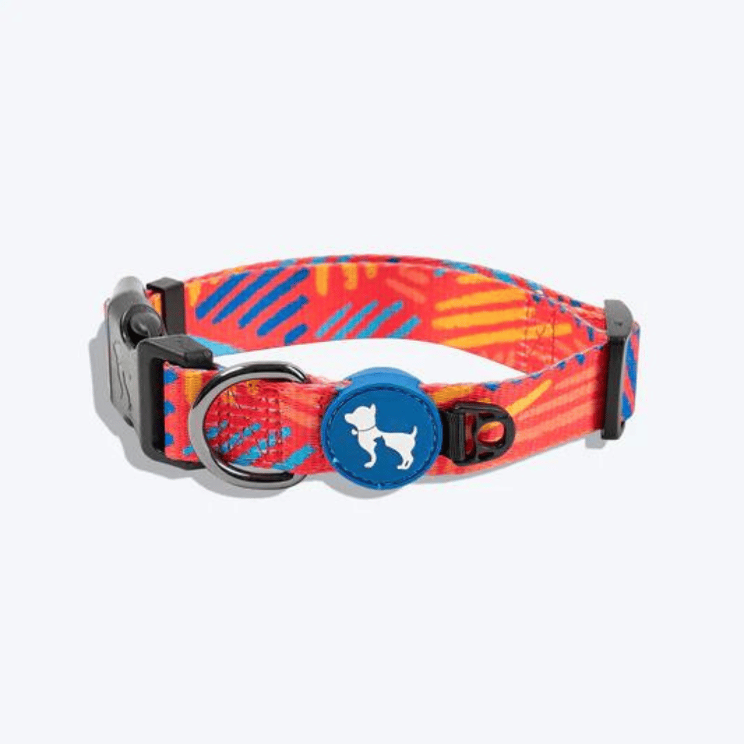 Dog Collars