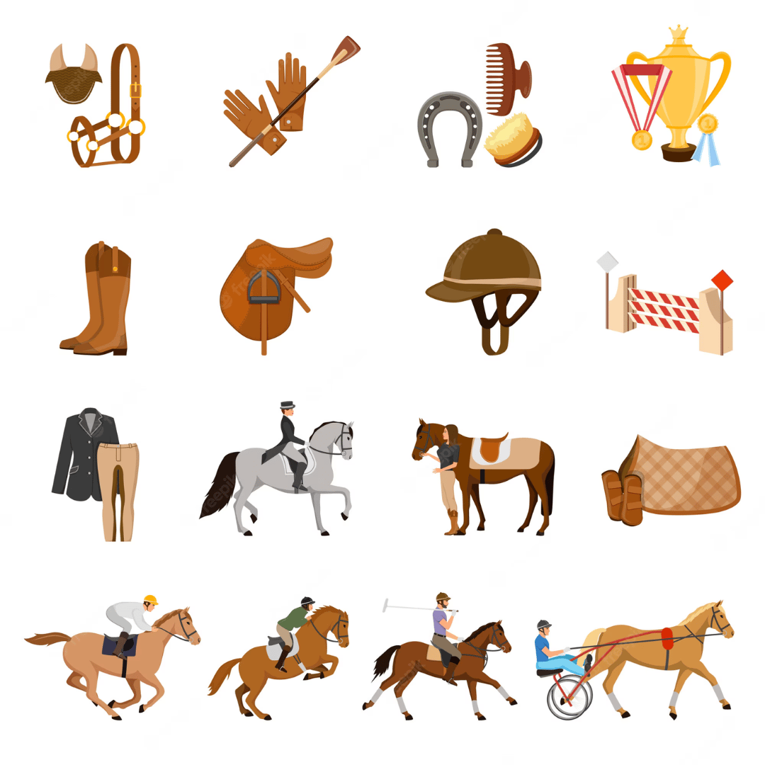 Horse Accessories