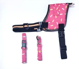 Dog Collar Harness Leash Set