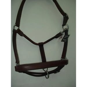 Halter Leather Adjustable