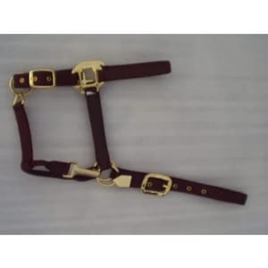 Poly propylene Halter