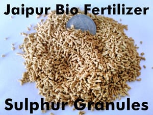 Sulphur 90% WDG Granules