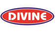  Divine Industries