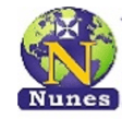 Nunes Instruments