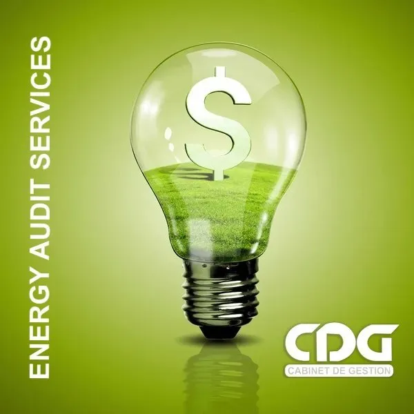 Energy Efficiency Auditing Services