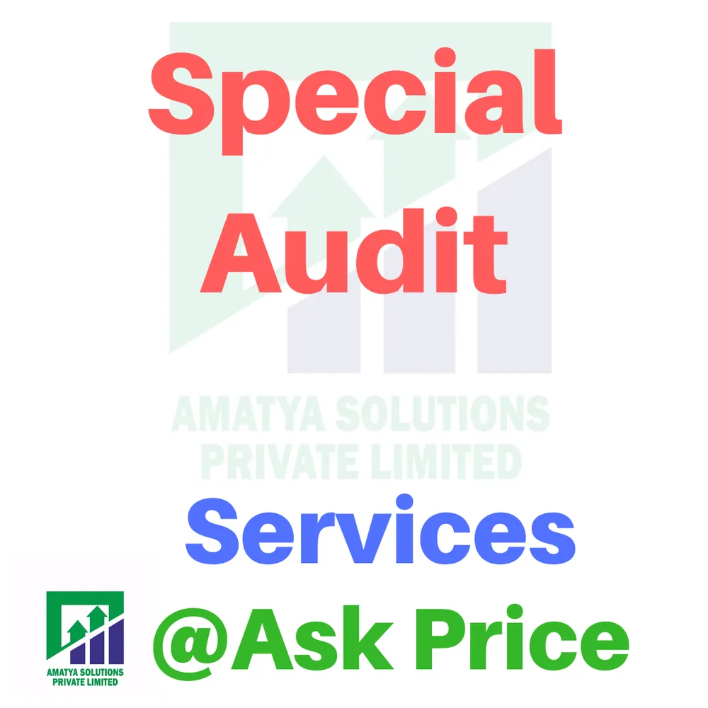 Special Audit