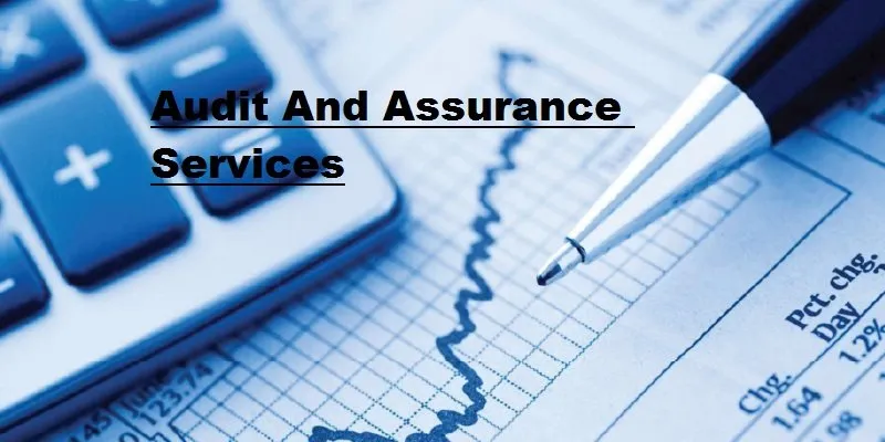 Lifetime Audit Assurance Services, Business Industry Type: Company And Firm, Jaipur