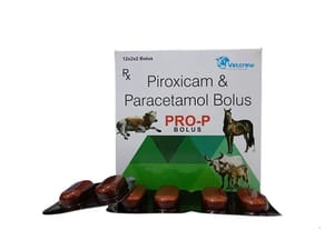 Piroxicam & Paracetamol Veterinary Drugs, For Clinical, Packaging Type: Box