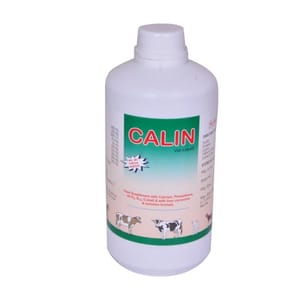 Calcin Calin Calcium Syrup, Pack Size: Pet Bottle