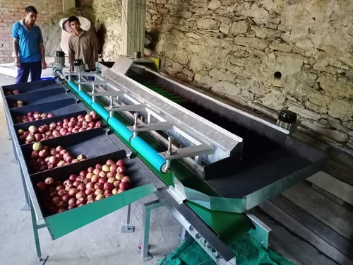 Automatic Ss Apple Grading Machine, 100 Box