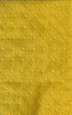 Allover Embroidery Fabric