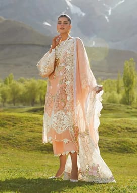 Palazzo Pakistani Cotton Embroidery Suit, Size: Large