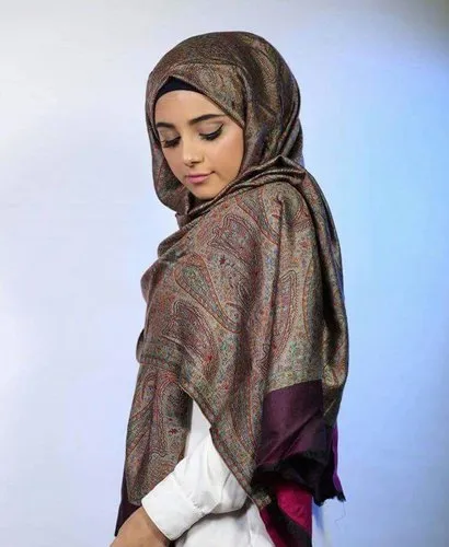 Wool Multicolor Silk Pashmina Shawls