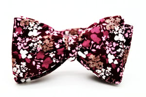 Cotton Printed Bow Tie