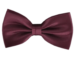 Men Bow Tie