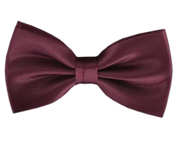 Men Bow Tie