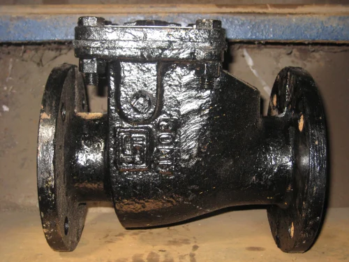 Cast Iron Check Valve