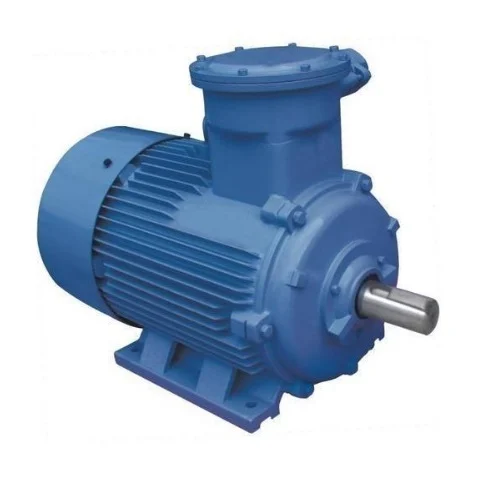 Remi Single Phase Motor