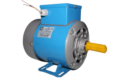 Single Phase AC Synchronous Motor