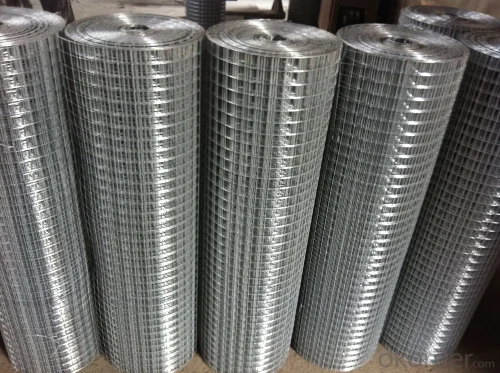 Galvanized Wire Mesh