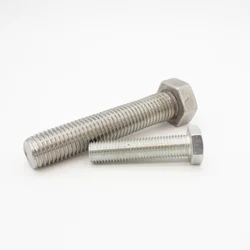 Stainless Steel Hex Bolt