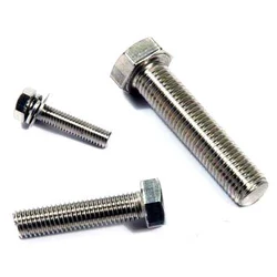 Stainless Steel Bolts