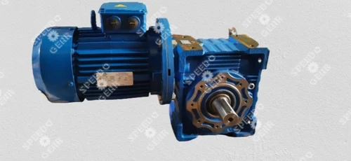 Motovario Worm Gear Reducer