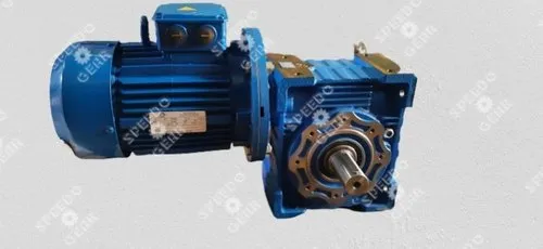 Worm Gear Reducer