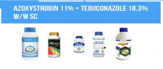 Azoxystrobin 11% & Tebuconazole 18.3% w/w SC