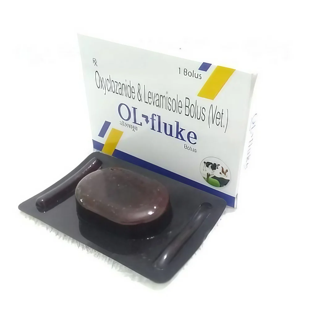 OL-Fluke Medicine Grade Oxyclozanide & Bolus, Prescription, Packaging Type: Box