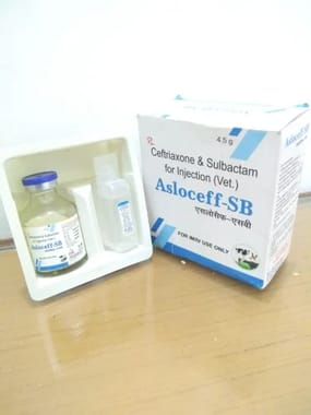 Asloceff-Sb Ceftriaxone Veterinary, Prescription, Packaging Size: Bottle