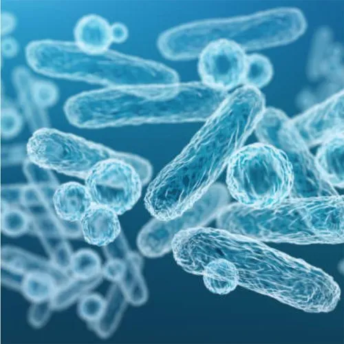 Aquatic Prebiotics - Probiotics Premix, Packaging Type: Packet