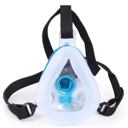 Niv Mask