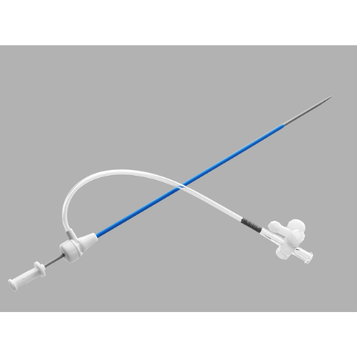 CATH LAB SHEATH INTRODUCER SET-ADULT (CP-08803)