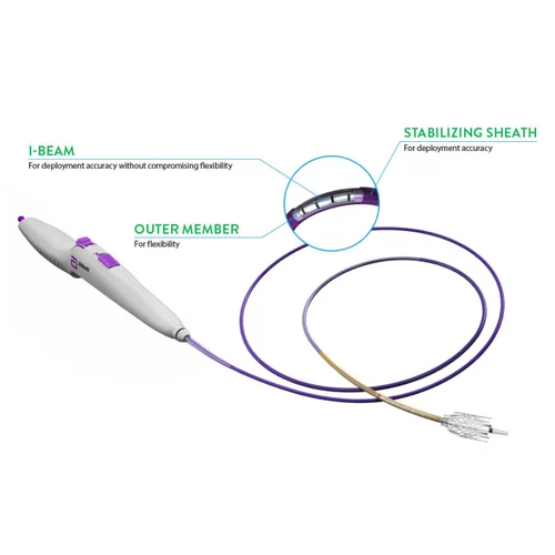 Absolute Pro Peripheral Stent