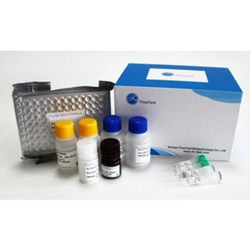 IL 1 Beta elisa kit