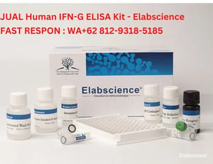 Rat IL-8 elisa kit elabscience