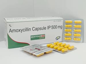 Amoxicillin 500 Mg