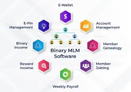 MLM Web Application