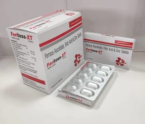 Ferrous Ascorbate Folic Acid And Zinc Tablets, Packaging Type: Box