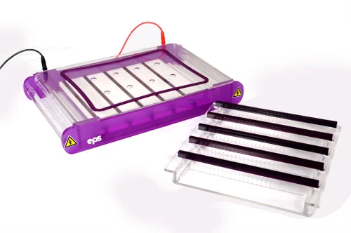 Submarine Gel Electrophoresis System