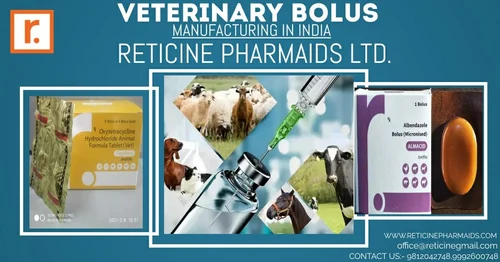 Veterinary Bolus Manufacturing In India