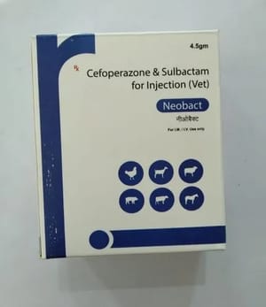 Cefoperazone 3g Sulbactum 1.5gm Veterinary Injections