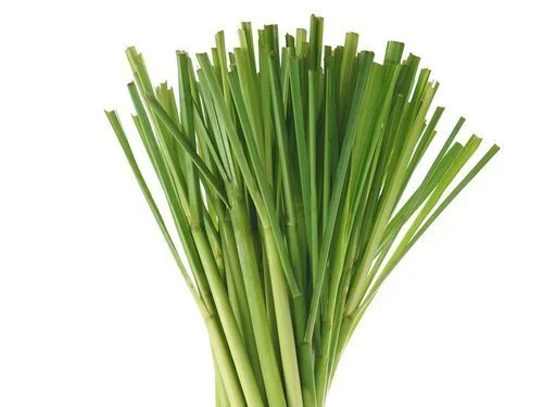 Lemon Grass