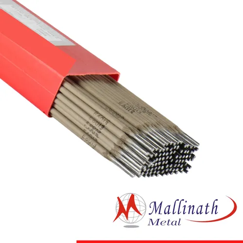 Stainless Steel Electrodes