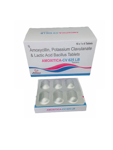 Amoxitica Amoxycillin Potassium Clavulanate Lactic Acid Bacillus