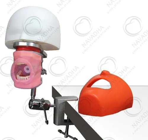 Metal,Plastic Iphantom Bench Mount Dental Manikin Phantom Head