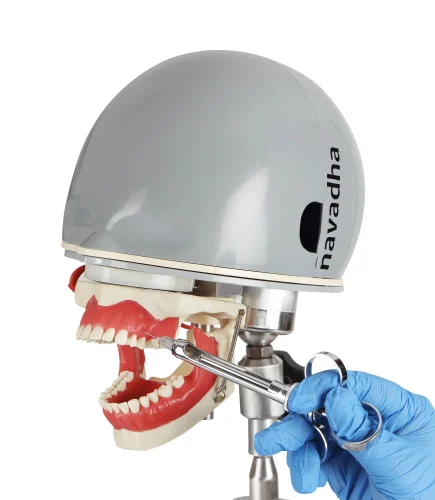 Metal,Plastic Dental Anaesthesia Training Phantom Head Manikin