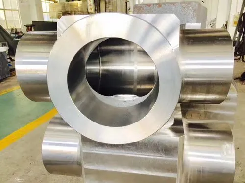 Stainless Steel Forgings