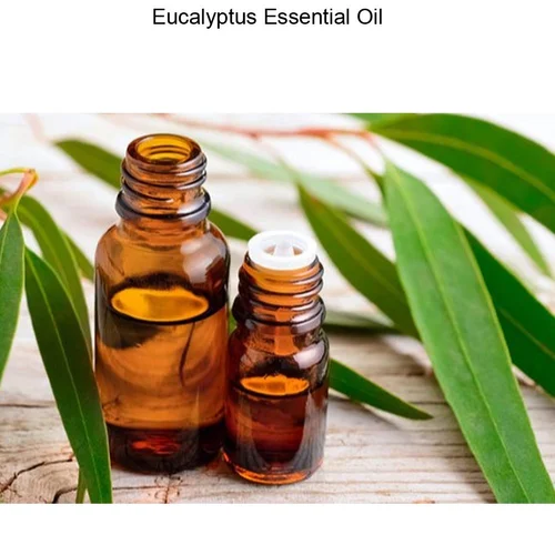 Eucalyptus Essential Oil